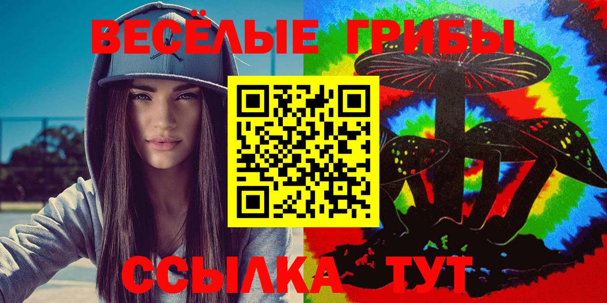 Сызрань  где купить наркотик  Вход с VPN  Галлюциногенные грибы мицелий  Псилоцибиновые грибы мухоморы 