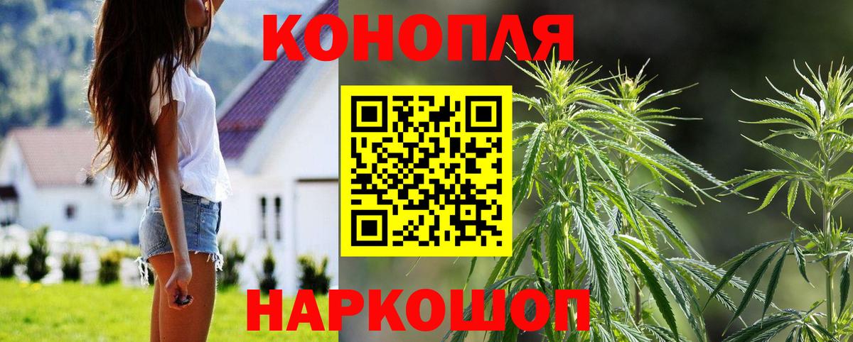 Канабис сатива Сызрань